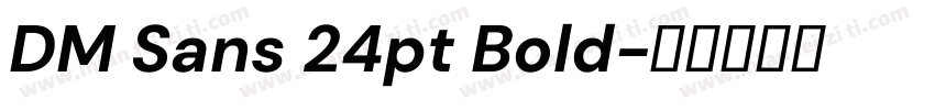 DM Sans 24pt Bold字体转换